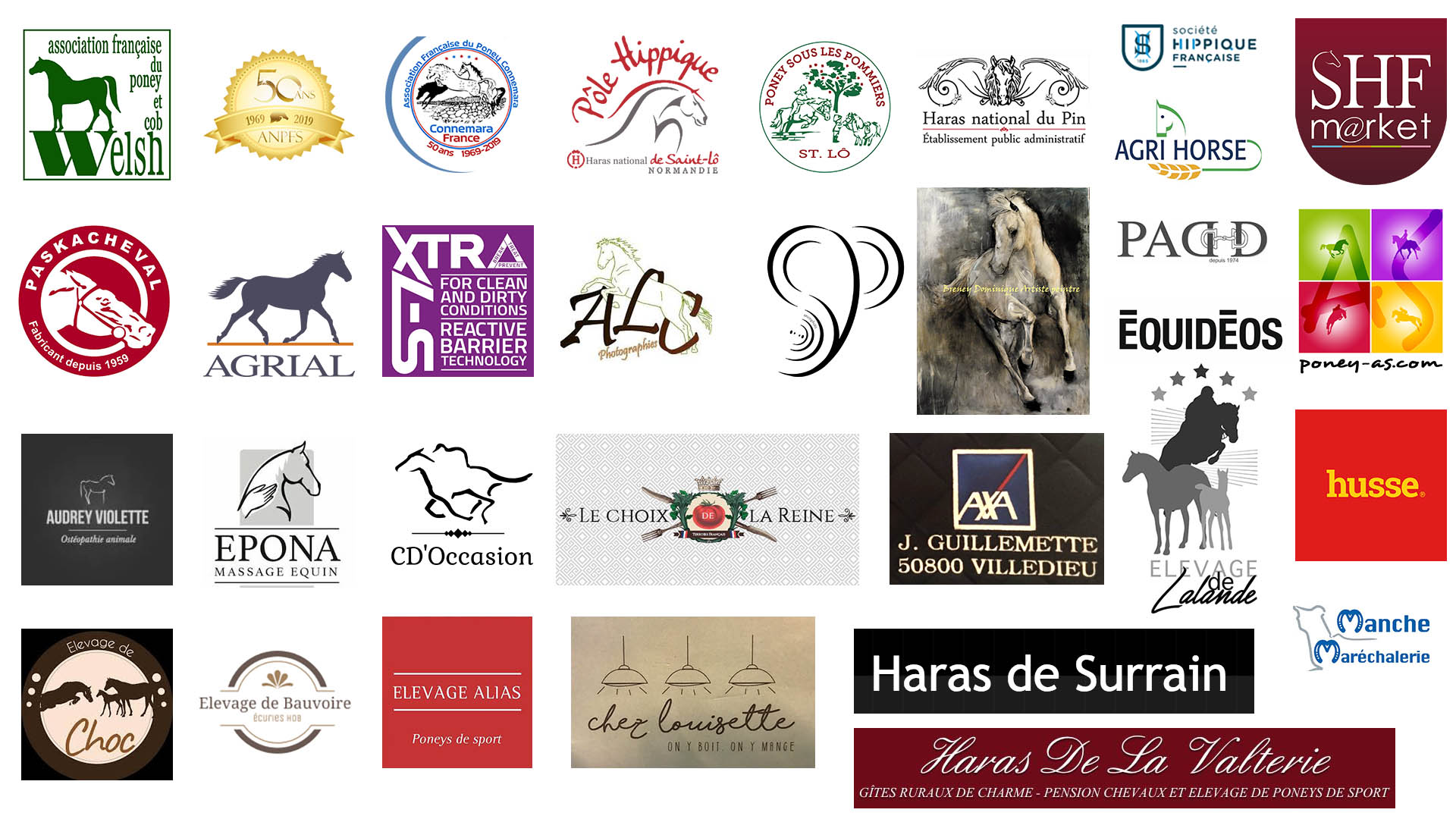 Sponsors 2019